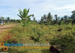 lot for sale in san jose negros oriental