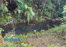 farm for sale in tanay rizal antipolo