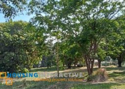 lot for sale in sampaloc tanay rizal