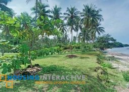 beach lot for sale in siaton, dumaguete city