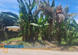 lot for sale in dumaguete city