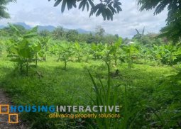 lot for sale in balugo dumaguete