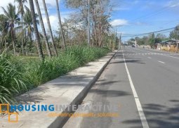 lot for sale in sibulan negros oriental