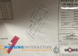 commercial lot for sale in solangon, san juan, siquijor