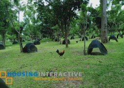 lot for sale in dumaguete