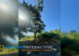 lot for sale in town & country heights , antipolo city