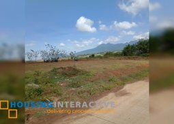 lot for sale in san carlos city