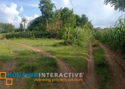 lot for sale in san carlos city