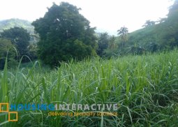 lot for sale in san carlos city