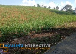 lot for sale in san carlos city