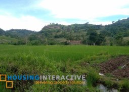 lot for sale in san carlos city