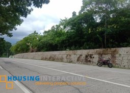 lot for sale in san carlos city