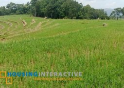 lot for sale in san carlos city