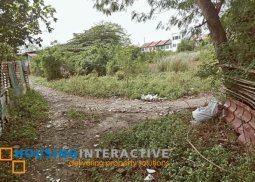 lot for sale near pmms school,sm south mall talon 3 las pinas