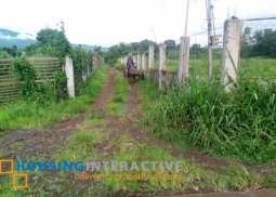 lot for sale in san carlos city