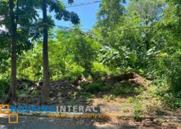 lot for sale in aba homes subdivision , antipolo