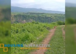 lot for sale in pandanon, murcia bacolod city