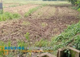 lot for sale in brgy.tabunan bago city