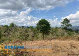 lot for sale in  don salvador benedicto,.murcia neg.occ