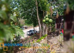 lot for sale in san carlos city