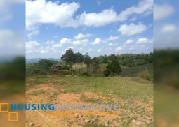 lot or sale in san carlos city