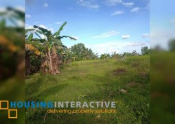 lot for sale in bacolod city