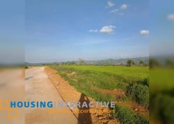 lot for sale in san carlos city
