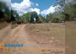 lot for sale in san carlos city