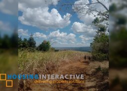 lot for sale in san carlos city