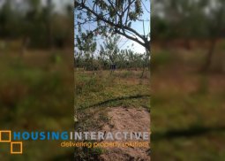 lot for sale in murcia neg.occ