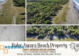 lot , beach property brgy  reserva baler aurora , antipolo  antipolo