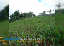 lot for sale in san carlos city, negros occidental