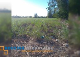 farm lot for sale in murcia, negros occidental