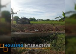 lot for sale in murcia neg.occ