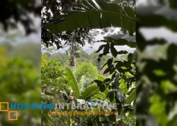 overlooking  lot for sale in nuestra senora dela paz subdivision