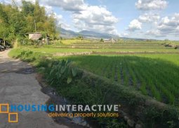 lot for sale in murcia neg.occ