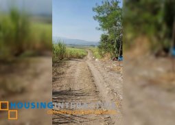 lot for sale in murcia neg.occ