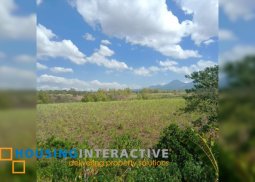 lot for sale in murcia neg.occ