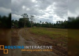 lot for sale in murcia neg.occ