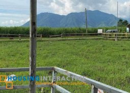 lot for sale in murcia neg.occ