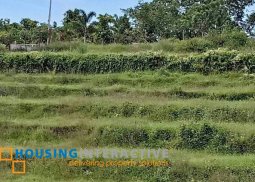 lot for sale in don salvador benedicto, negros occ.