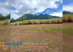 farm lot for sale in murcia, negros occidental
