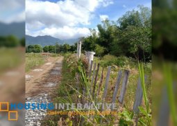 lot for sale in murcia neg.occ