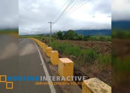 farm lot for sale in murcia neg.occ