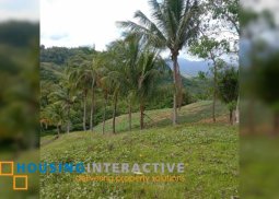 farm lot for sale in san carlos city neg.occ