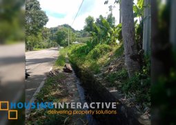 farm lot  for sale in san carlos city neg.occ