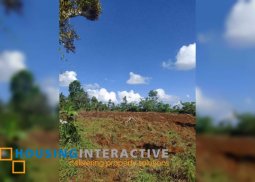 farm lot for sale in san carlos city neg.occ