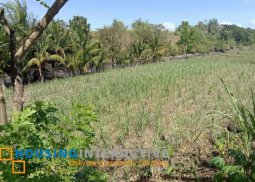 farm lot for sale in murcia neg.occ