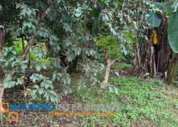 lot for sale  in mission hills havila