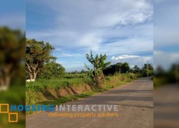 lot for sale in san carlos city
